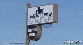 Co. Springs animal rescue director accused of failing to get puppies medical care - KRDO
