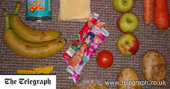 ‘Junk food has no place in a lunchbox’: a dietitian’s view of the free school meals packages - Telegraph.co.uk