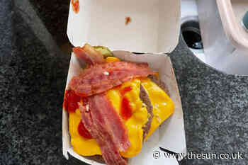 McDonald’s customer places bizarre food orders to see if customising actually works - The Sun