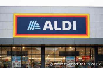 Aldi reveals new bargain hour where food is slashed by 75% - The Scottish Sun