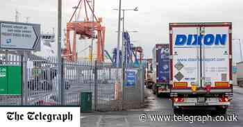 Northern Ireland faces 'critical few months' as British food suppliers won't deliver goods - Telegraph.co.uk