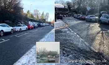 Day trippers invade High Spen near Gateshead for trip to beauty spot 'from miles away' - Daily Mail