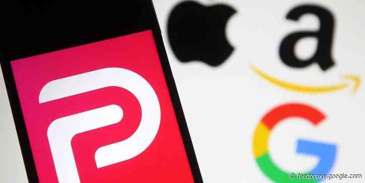 Parler claims in antitrust lawsuit that Amazon said it was 'definitely in this journey' with the controversial social media platform until Capitol riots