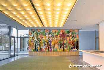 Michelin-Starred chefs head two new restaurants at Museum of Fine Arts, Houston - Chron