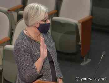 Grant joins Surprise arts commission | Your Valley - Your Valley