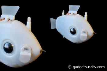 Scientists Create ‘Bluebot’, Underwater Robots That Swim Like Schools of Fish