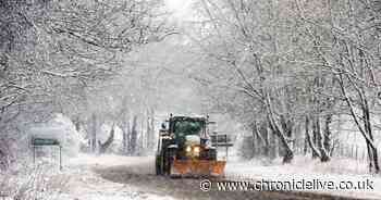 Northumberland in the snow - 20 stunning pictures of snowy scenes in the county