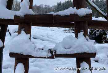 Gefährliche Sachbeschädigung an Hochsitzen: "Wir sind keine '"Bambimörder'" - Siegener Zeitung