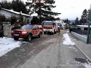 Menschenrettung in Seebenstein: Aufmerksame Arbeitgeberin alarmiert Rettungskette - meinbezirk.at