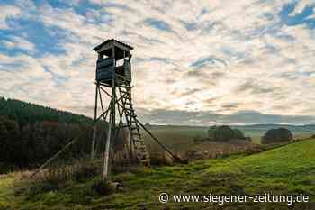 Zwischen Neunkirchen und Wilnsdorf: Vandalen durchtrennen Trittsprossen an Hochsitzen - Neunkirchen - Siegener Zeitung