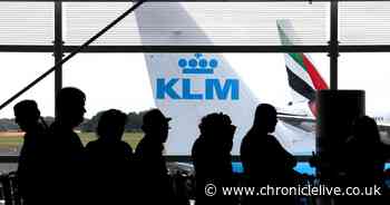 The health test you need to take if you are travelling to the Netherlands