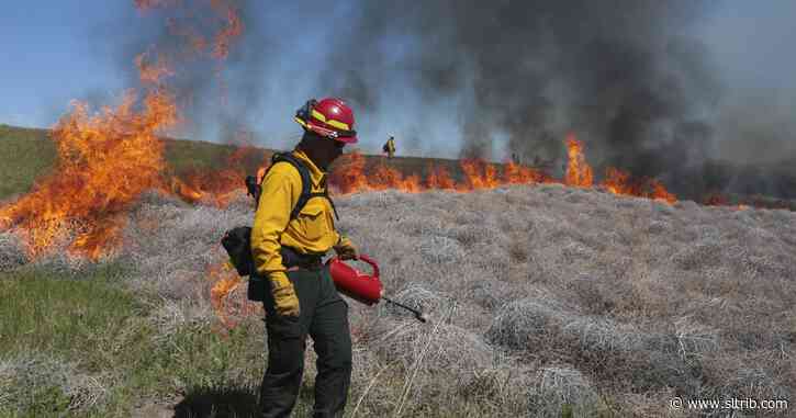 Environmentalists move toward lawsuit over fuel break plan