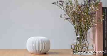Hedgehog is a smart solution to your Wi-Fi insecurity     - CNET