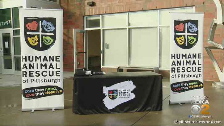 Humane Animal Rescue Undergoes Rebranding, Adds ‘Pittsburgh’ To Their Name