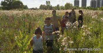 ‘Acasa, My Home’ Review: Civilization and Its Malcontents