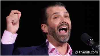 DC attorney general pushing to interview Trump Jr.