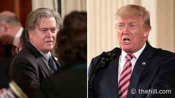 Trump has sought Bannon's consultation to overturn election results: Bloomberg