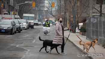Stay-at-home order doesn't give police power to enter homes, pull over drivers, stop pedestrians