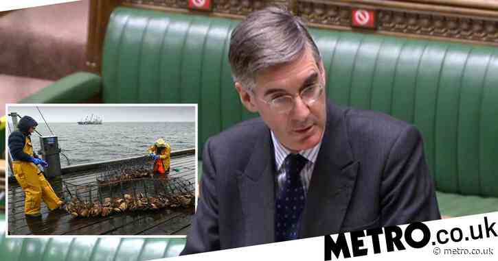 Jacob Rees-Mogg says fish are ‘better and ‘happier’ after Brexit