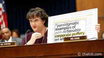 Porter loses seat on House panel overseeing financial sector
