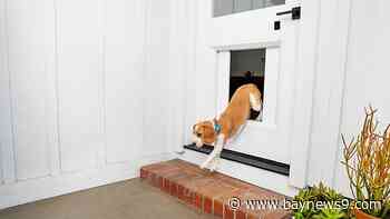 2021 CES Gadgets Was Digital This Year - Bay News 9