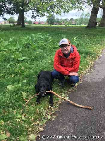 Webbox: Blacburn firm partners with The Cinnamon Trust to appeal for dog walking volunteers