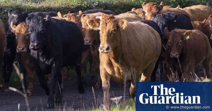 Pollutionwatch: major sources of air pollution often overlooked