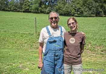 Nationally renowned Jamison Farm is closing down
