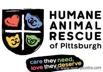 Pet Tales | Rebranding means new name: Humane Animal Rescue of Pittsburgh