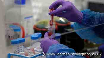 Brazilian Covid variant found in the UK, scientist says