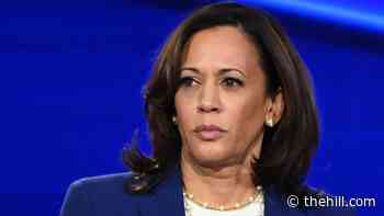 Harris on Capitol attack: 'Same thing that went through my mind when I saw Charlottesville'