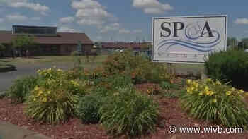 Niagara County SPCA votes to remove Director of Shelter Operations