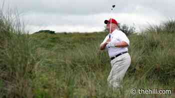 Palm Beach County seeks way to end lease with Trump golf course