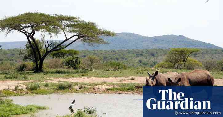 Celebrity power undermining global conservation efforts, scientists warn