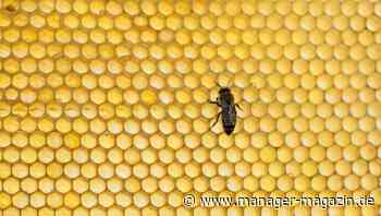 Warum Resilienz für Unternehmen wichtiger ist als Effizienz