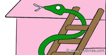 Thrillers Spiked With Malice and Dread