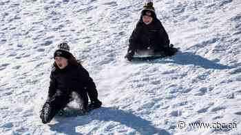 Vaughan closes skating rinks, toboggan hill, dog park in bid to curb COVID-19