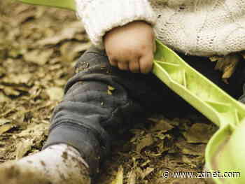 Linux Mint fixes screensaver bypass discovered by two kids