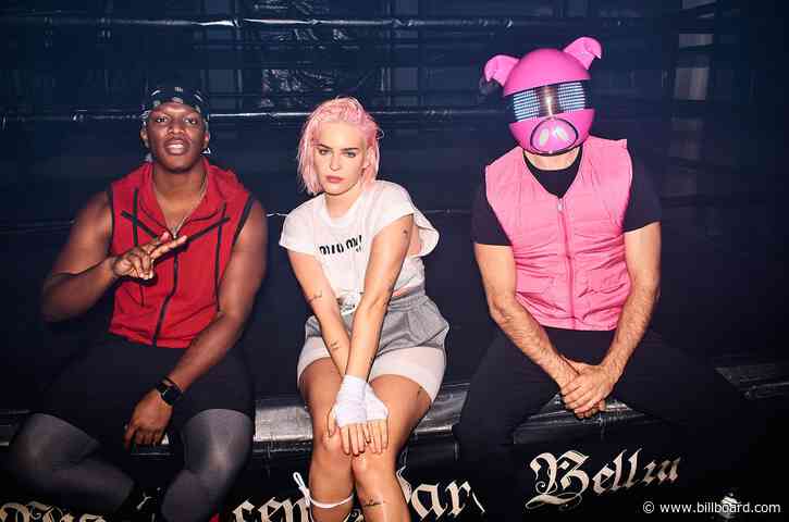 Real-Life Martial Arts Champ Anne-Marie Isn’t Playing in Video for KSI & Digital Farm Animals Collab