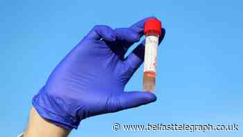 WHO blames human behaviour more than variants as virus spreads