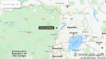 Dozens killed, some decapitated, in suspected rebel attack in the DRC