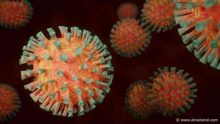 Confirman reinfección de coronavirus por nueva cepa brasileña