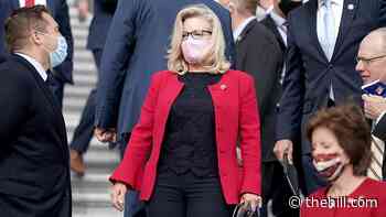 GOP divided over Liz Cheney's future