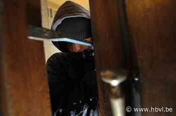 Dieven vluchtten weg met geld en juwelen nadat ze betrapt worden in Rijkel - Het Belang van Limburg