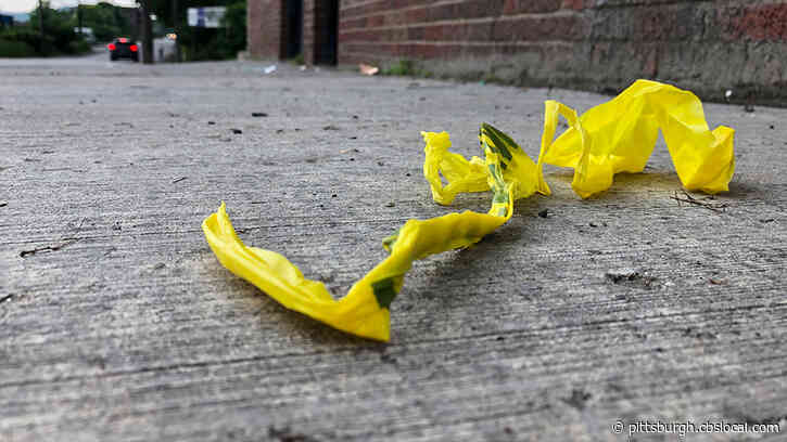 Woman Shot And Killed As She Pursues Man Who Stole Her Cellphone