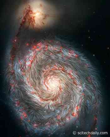 HAWC+ Reveals Magnetic Chaos Hidden Within the Whirlpool Galaxy