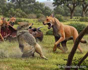 Ancient DNA Reveals Secrets of the “Terrifying” Dire Wolf – Famous From Game of Thrones