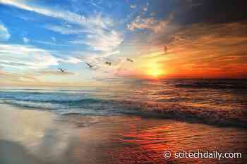 Ancient Oceans Were Surprisingly Resilient to Climate Change – But Things Are Different Today