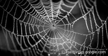 Europol announces bust of “world’s biggest” dark web marketplace
