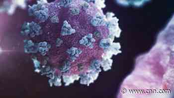 New, contagious coronavirus variant could worsen pandemic, CDC warns - CNN